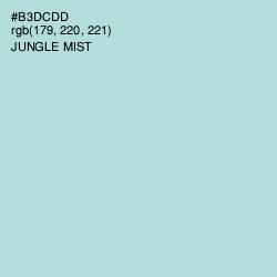 #B3DCDD - Jungle Mist Color Image